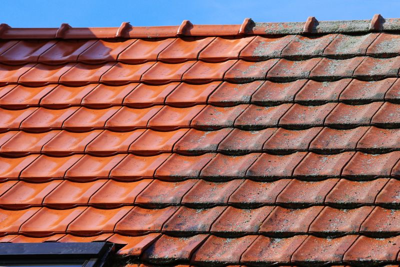 Roof Moss Cleaning