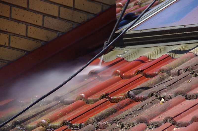 Roof Moss Cleaning