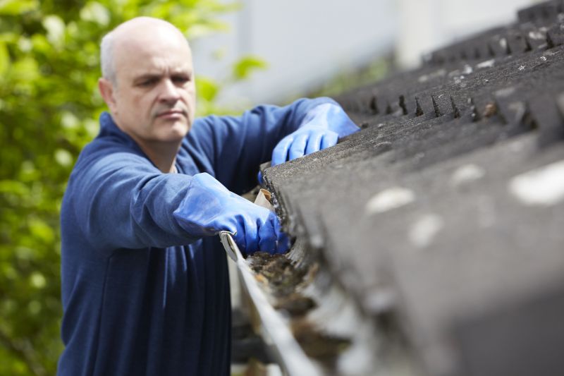 Inspecting Gutters