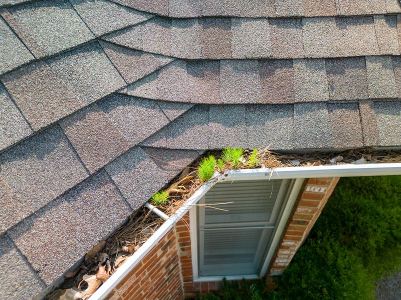Gutter and Drainage Systems