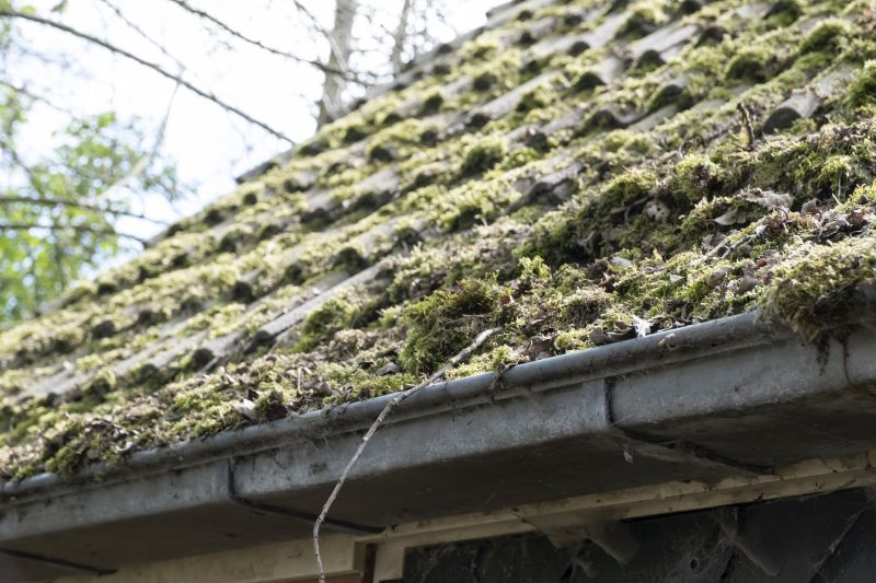 Roof Moss Cleaning