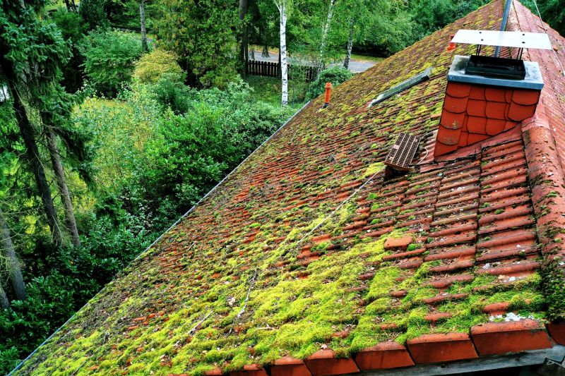 Roof Moss Cleaning
