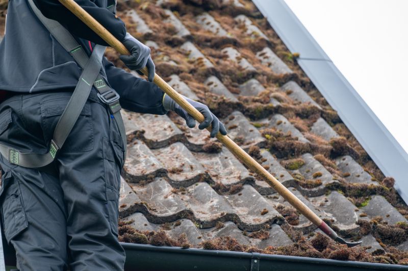 Effective Roof Moss Removal